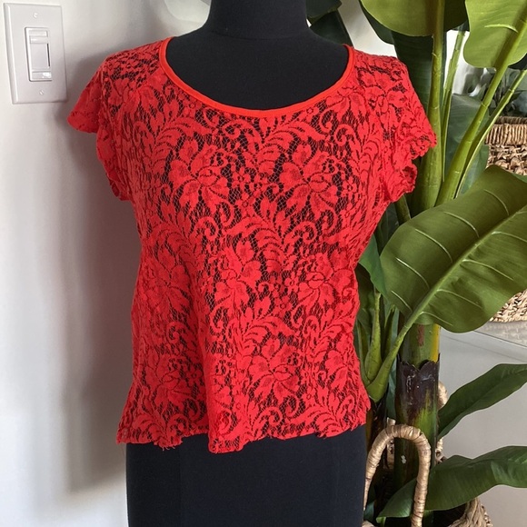 Patterson J. Kinkaid Lace Top - Picture 4 of 6